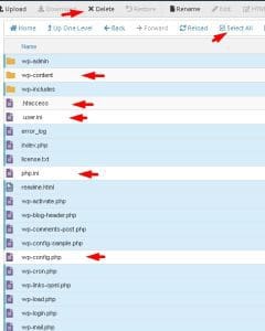 delete seluruh file wordpress