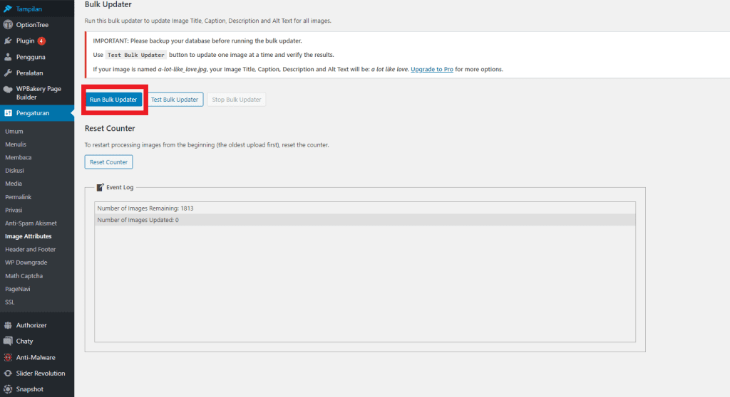 Run Bulk Updater