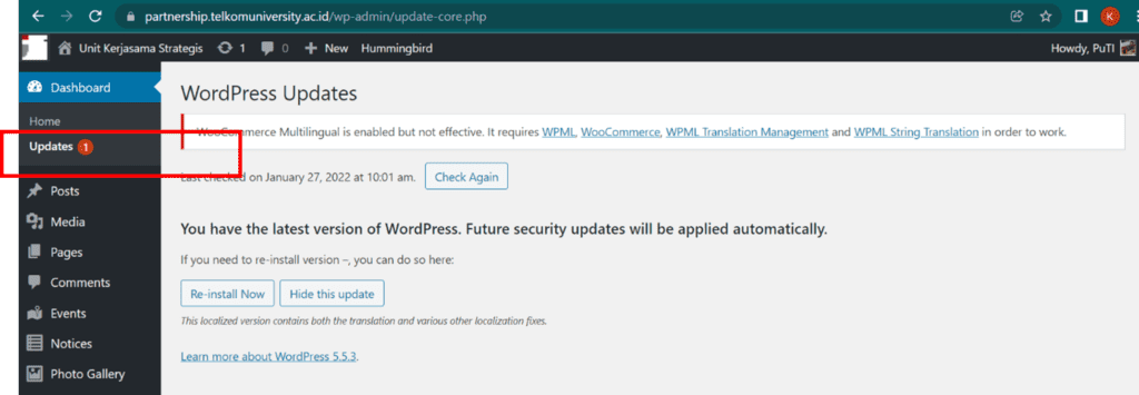 16 Update Plugin WordPress